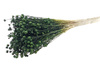 LEN KOLOR CIEMNOZIELONY  ~80 g suszony barwiony na stroiki i bukiety dodatek florystyczny
